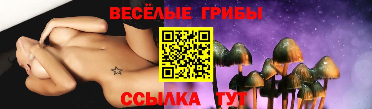 Семёнов  Галлюциногенные грибы GOLDEN TEACHER  Вход с VPN 